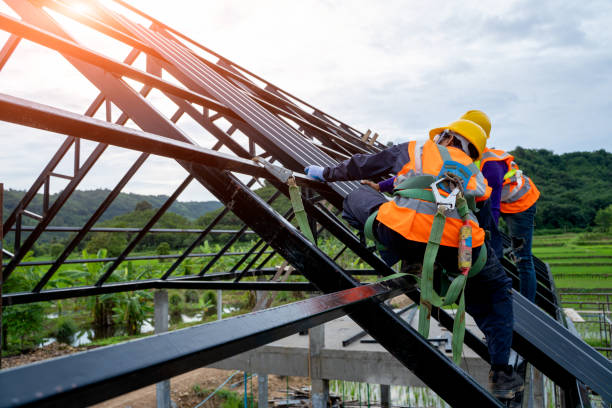 Best Roof Gutter Cleaning  in Endicott, NY