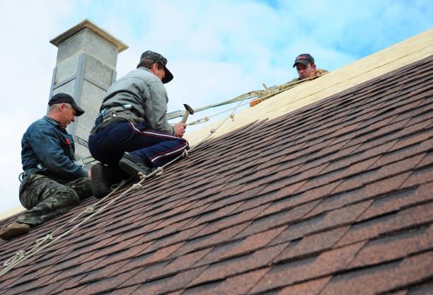 Best Shingle Roofing Installation  in Endicott, NY